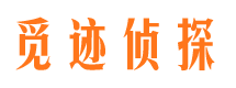 莲花侦探公司